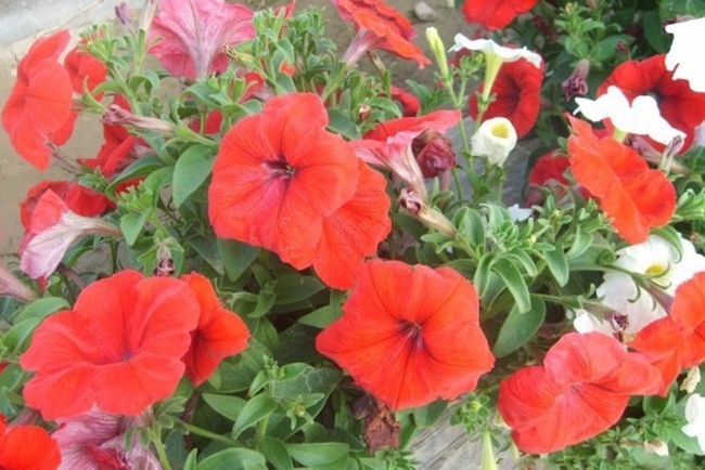 牽?；?/></p><p style=