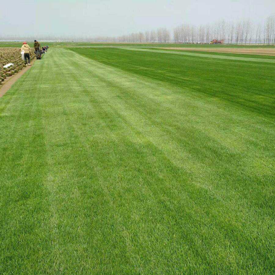 1671001800678992.jpg 1671001800678992.jpg