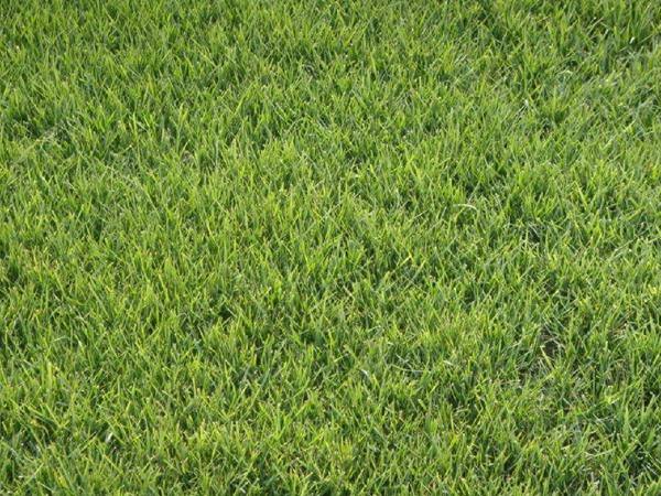 1671005876303793.jpeg 1671005876303793.jpeg