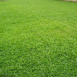 1671007648262589.jpeg 1671007648262589.jpeg