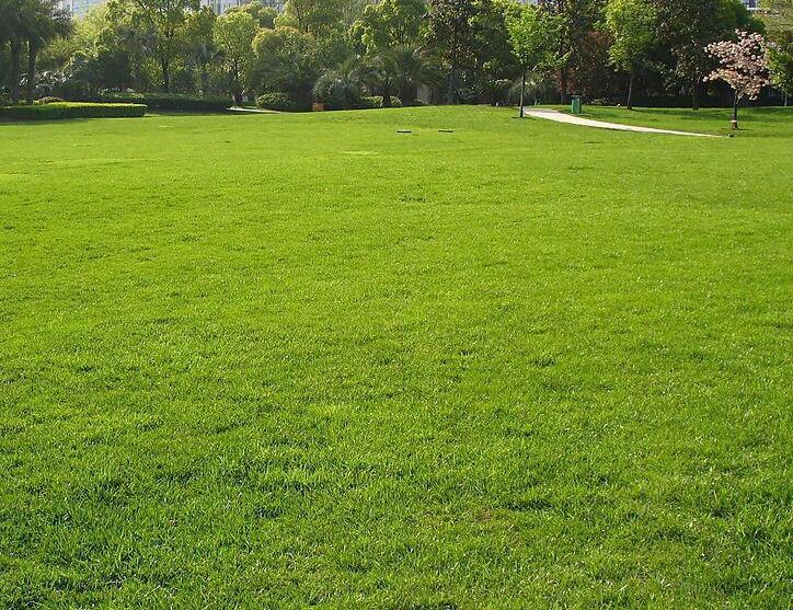 1671071218397285.jpg 1671071218397285.jpg