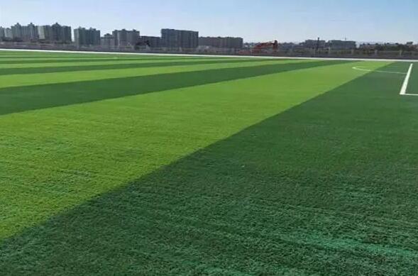 1671156561599208.jpg 1671156561599208.jpg