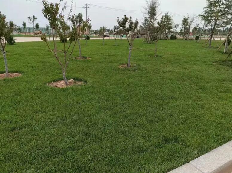 1671582260697749.jpg 1671582260697749.jpg