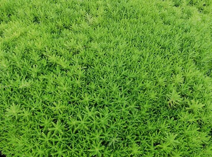 1671666080737886.jpg 1671666080737886.jpg