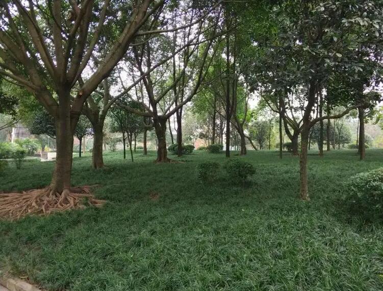 1671667870444866.jpg 1671667870444866.jpg