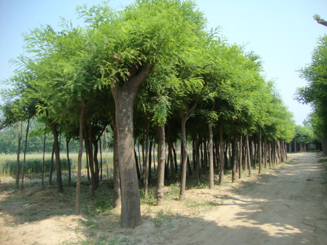 1678415857222171.jpg 1678415857222171.jpg