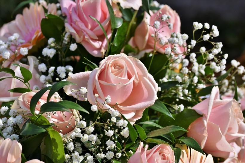 1678428146265320.jpeg 1678428146265320.jpeg