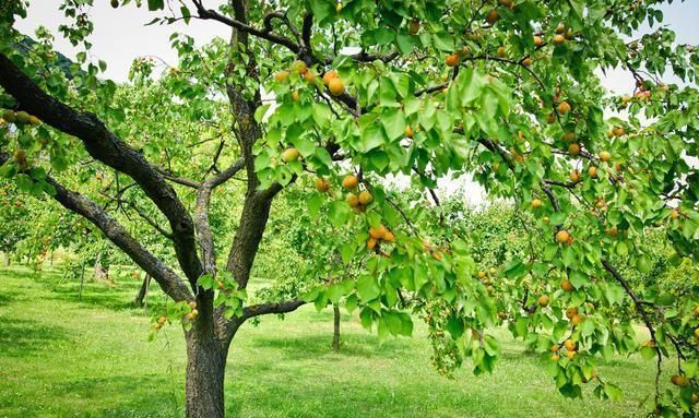 1678430454804021.jpg 1678430454804021.jpg