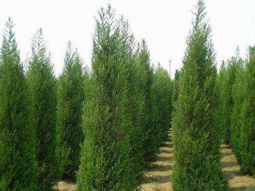 1678432712230751.jpeg 1678432712230751.jpeg