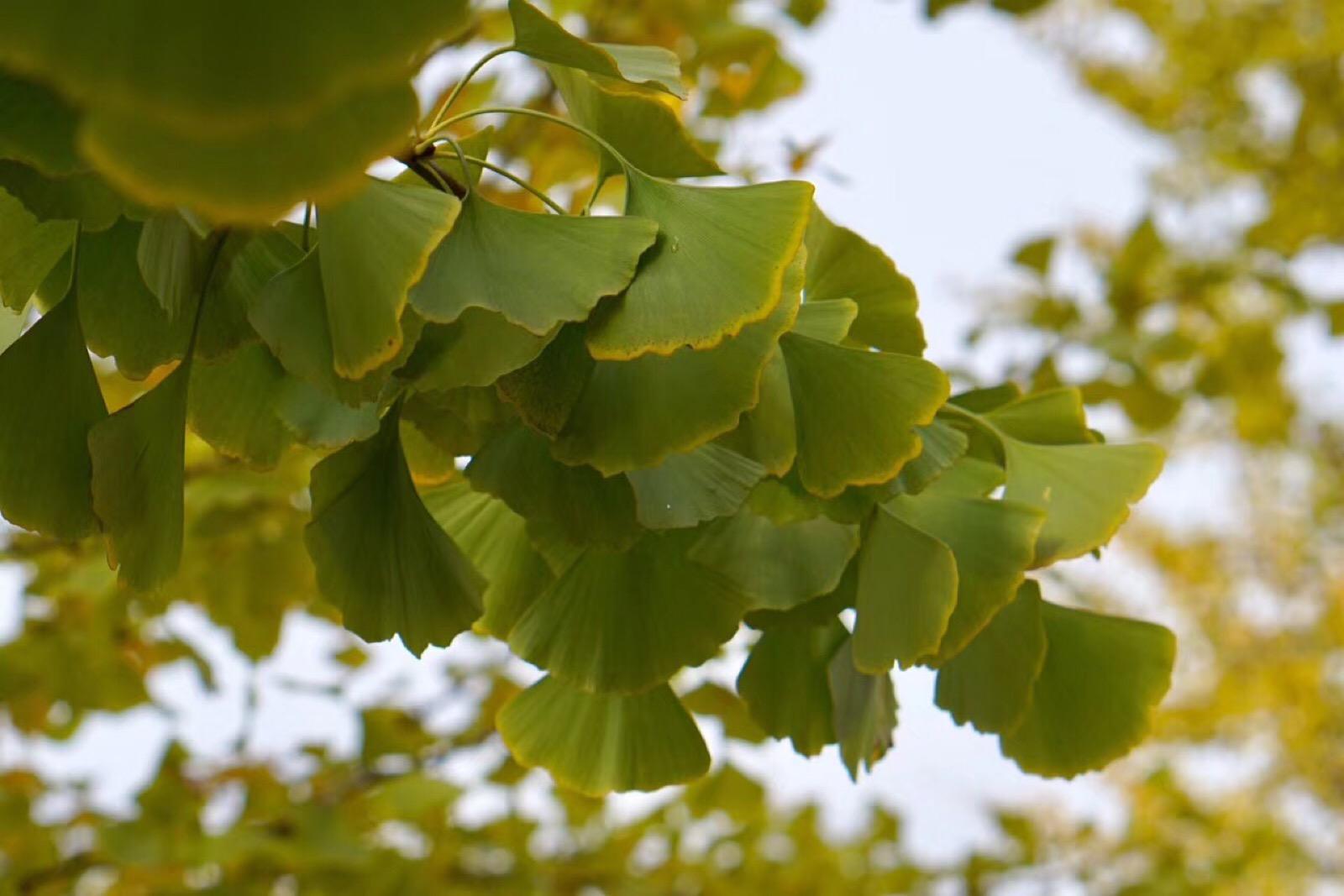 1678442260221945.jpeg 1678442260221945.jpeg