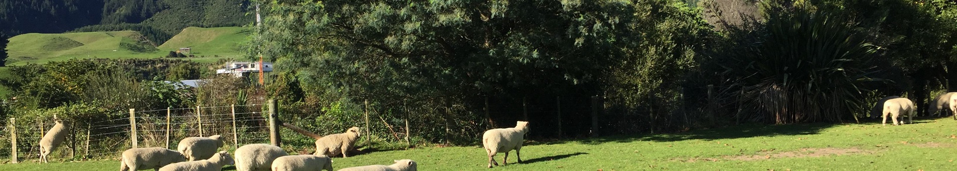 沐草匯園林網(wǎng)
